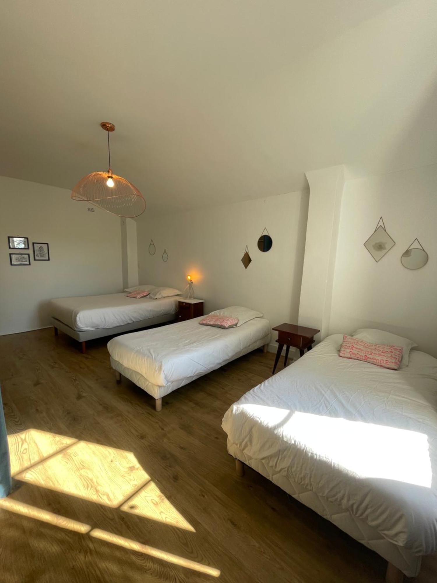 Charmante maison à Vienne avec jardin, prox Lyon Extérieur photo