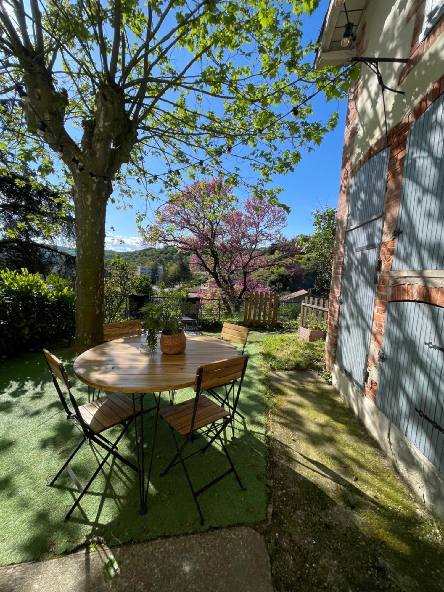 Charmante maison à Vienne avec jardin, prox Lyon Extérieur photo