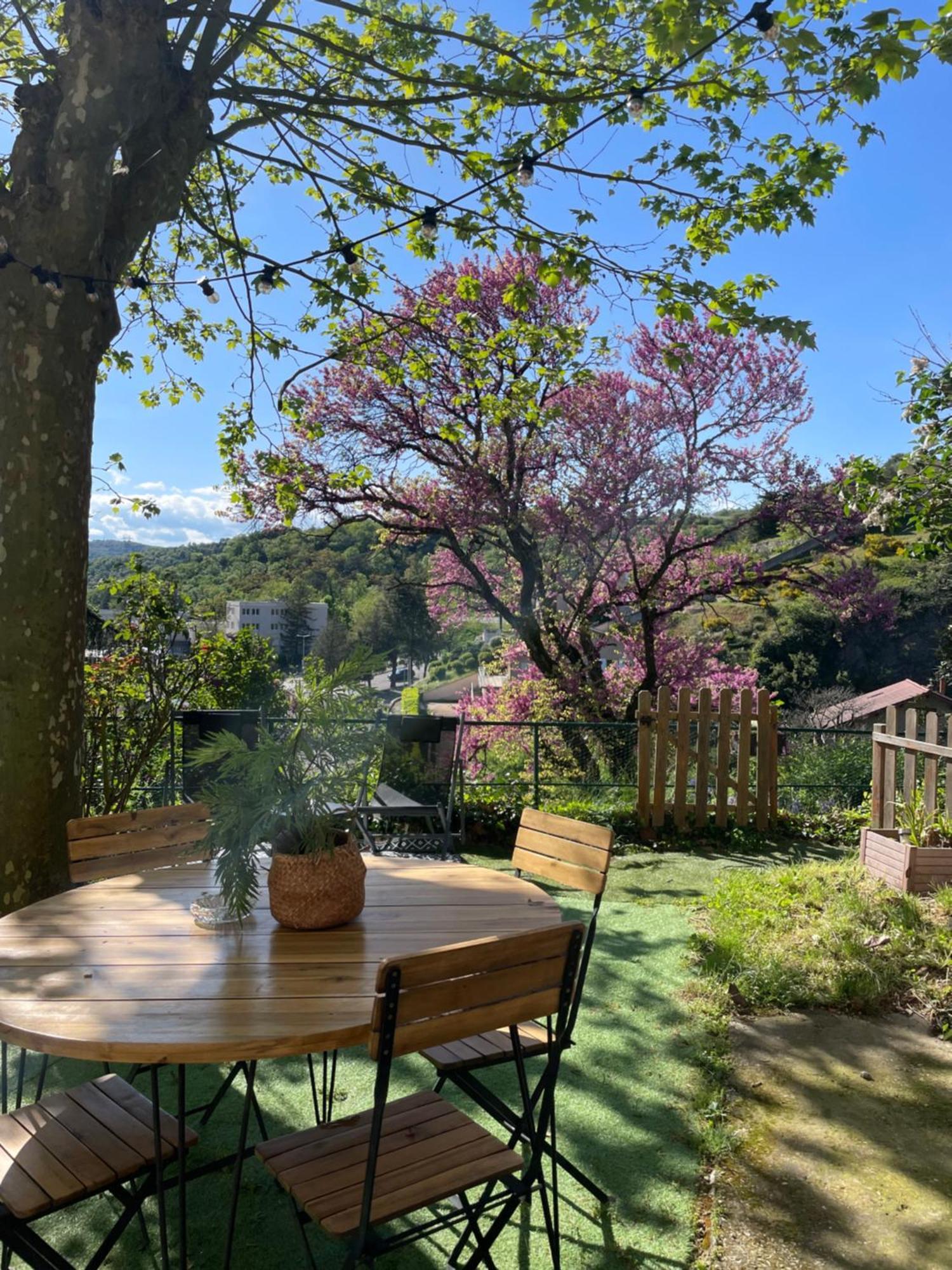 Charmante maison à Vienne avec jardin, prox Lyon Extérieur photo